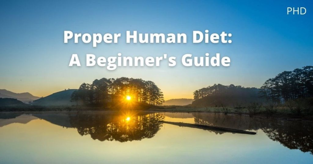 Proper Human Diet: A Beginner's Guide