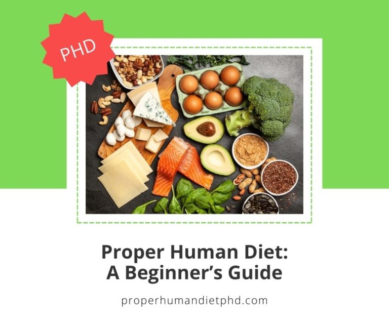 Proper Human Diet A Beginners Guide 3454