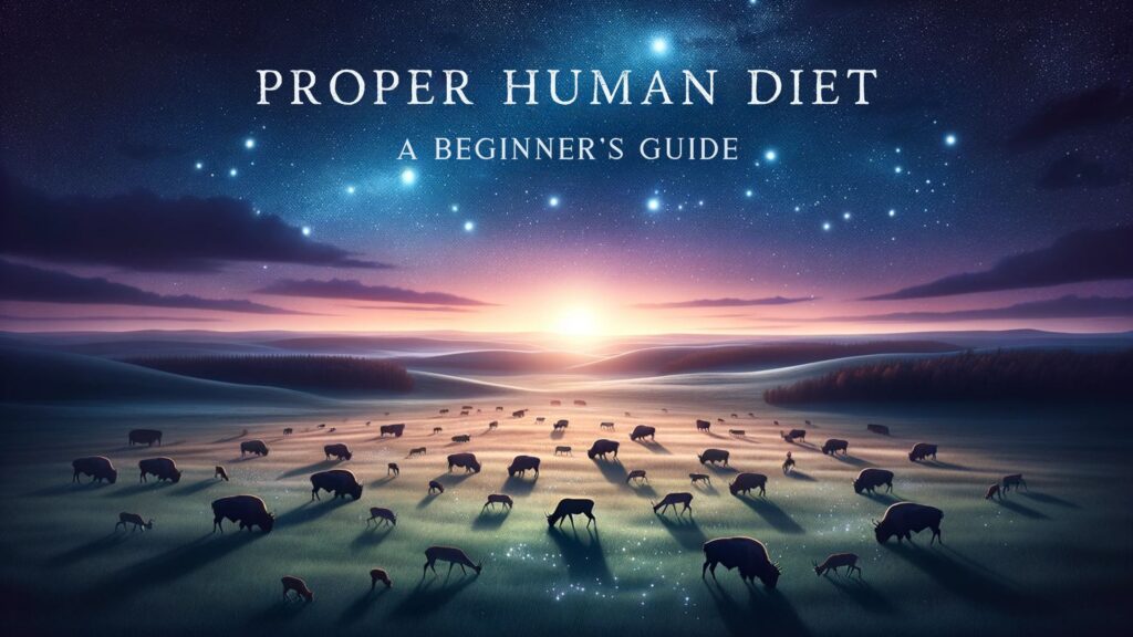 Wide photo of a serene grassland at dusk, with silhouettes of grazing animals like bison and deer representing high-quality meats. In the twilight sky, the stars align to form the title 'Proper Human Diet: A Beginner's Guide.'