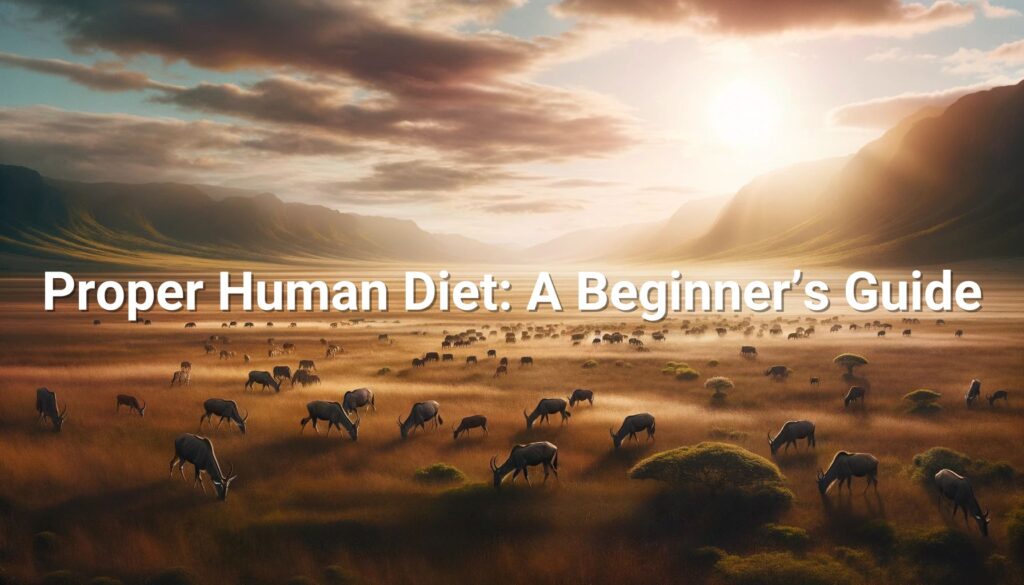 Proper Human Diet: A Beginner’s Guide