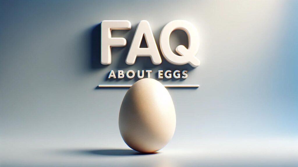 FAQs About Eggs and Nutrition